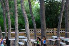 Cross-DESPEDIDA-Verano-2026_20260831_130933_0149