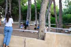 Cross-DESPEDIDA-Verano-2026_20260831_130940_0239