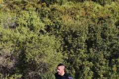 02-1er-Cross-Trail-Puntes-Gosalvez-2026_0001