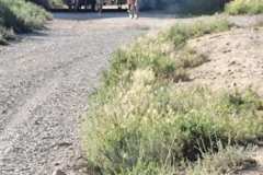 02-1er-Cross-Trail-Puntes-Gosalvez-2026_0058