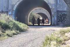 02-1er-Cross-Trail-Puntes-Gosalvez-2026_0098
