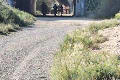 02-1er-Cross-Trail-Puntes-Gosalvez-2026_0110
