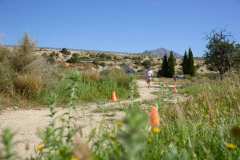 02-1er-Cross-Trail-Puntes-Gosalvez-2026_0129