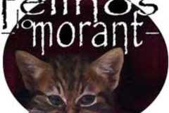 logo-felinos-lomorant