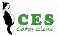 CES-ELCHE