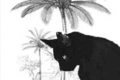 logo-Ces-San-Gabriel