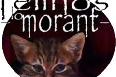 logo-felinos-lomorant-transp