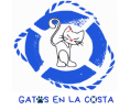 Gatos-en-la-costa