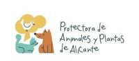 prop-logotipo-protectora-OK