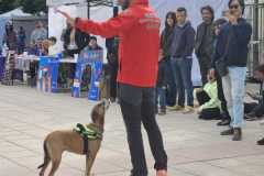 WhatsApp-Image-2025-12-22-at-08.09.30-2