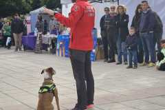 WhatsApp-Image-2025-12-22-at-08.09.31-1