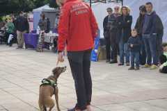 WhatsApp-Image-2025-12-22-at-08.09.31-2