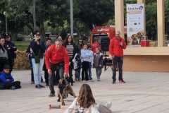 WhatsApp-Image-2025-12-22-at-08.09.31-3