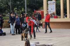 WhatsApp-Image-2025-12-22-at-08.09.31-4