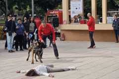 WhatsApp-Image-2025-12-22-at-08.09.31-5