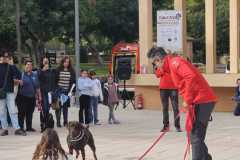 WhatsApp-Image-2025-12-22-at-08.09.31-7