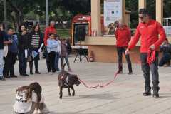 WhatsApp-Image-2025-12-22-at-08.09.31-9