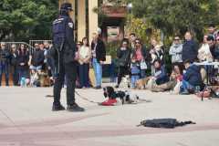 WhatsApp-Image-2025-12-22-at-08.09.32-6