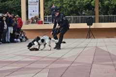 WhatsApp-Image-2025-12-22-at-08.09.33-1