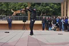 WhatsApp-Image-2025-12-22-at-08.09.33-3