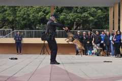 WhatsApp-Image-2025-12-22-at-08.09.33-4