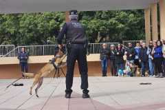 WhatsApp-Image-2025-12-22-at-08.09.34-2