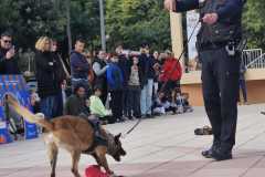 WhatsApp-Image-2025-12-22-at-08.09.34-4