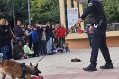 WhatsApp-Image-2025-12-22-at-08.09.34-5