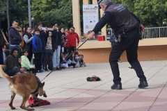 WhatsApp-Image-2025-12-22-at-08.09.34-6