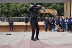 WhatsApp-Image-2025-12-22-at-08.09.34