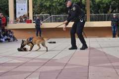 WhatsApp-Image-2025-12-22-at-08.09.35-1