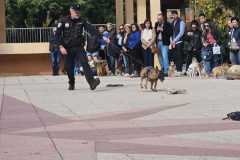 WhatsApp-Image-2025-12-22-at-08.09.35-2