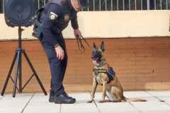 WhatsApp-Image-2025-12-22-at-08.09.35-3