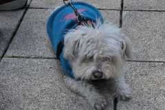 WhatsApp-Image-2025-12-22-at-08.09.37-2