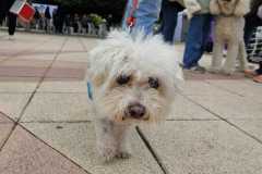 WhatsApp-Image-2025-12-22-at-08.09.37-6