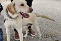 WhatsApp-Image-2025-12-22-at-08.09.39-2