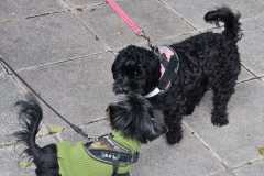 WhatsApp-Image-2025-12-22-at-08.09.39