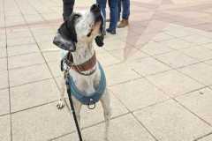 WhatsApp-Image-2025-12-22-at-08.10.20-1