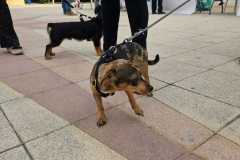 WhatsApp-Image-2025-12-22-at-08.10.20