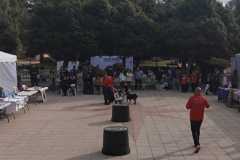 WhatsApp-Image-2025-12-22-at-09.07.06-10