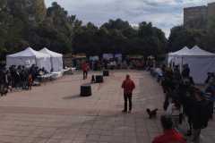 WhatsApp-Image-2025-12-22-at-09.07.06-13