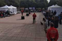 WhatsApp-Image-2025-12-22-at-09.07.06-16