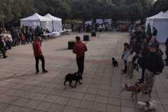 WhatsApp-Image-2025-12-22-at-09.07.06-18