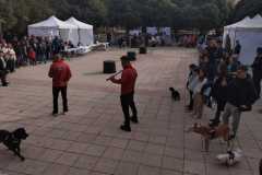 WhatsApp-Image-2025-12-22-at-09.07.06-19