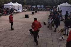 WhatsApp-Image-2025-12-22-at-09.07.06-20