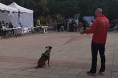 WhatsApp-Image-2025-12-22-at-09.07.06-29