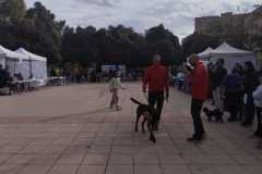 WhatsApp-Image-2025-12-22-at-09.07.06-31