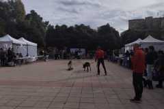 WhatsApp-Image-2025-12-22-at-09.07.06-33