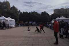 WhatsApp-Image-2025-12-22-at-09.07.06-34