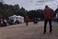 WhatsApp-Image-2025-12-22-at-09.07.06-35